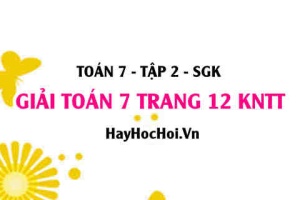 Giải Toán 7 trang 12 Kết nối tri thức Tập 2 SGK